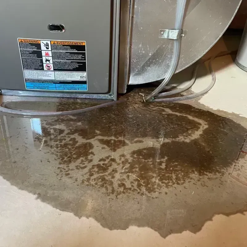 Appliance Leak Cleanup in Seabeck, WA